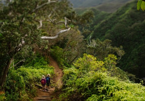 Exploring the Best Hiking Trails for Families in Honolulu