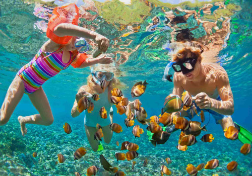 The Ultimate Guide to Honolulu Family Activities